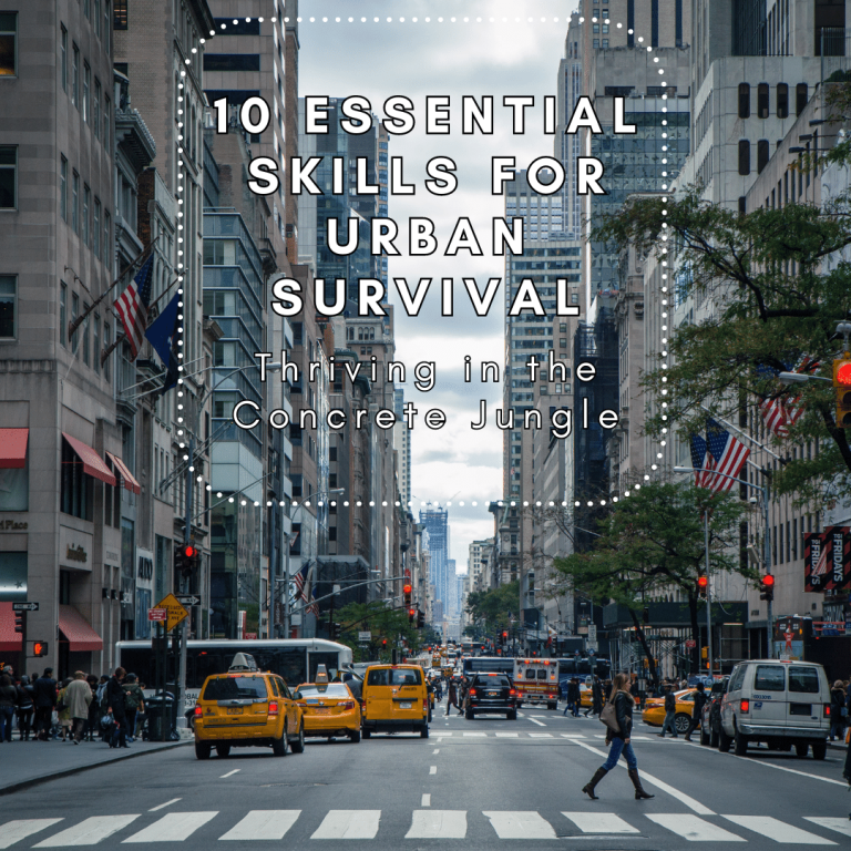 10 Essential Skills for Urban Survival Thriving in the Concrete Jungle