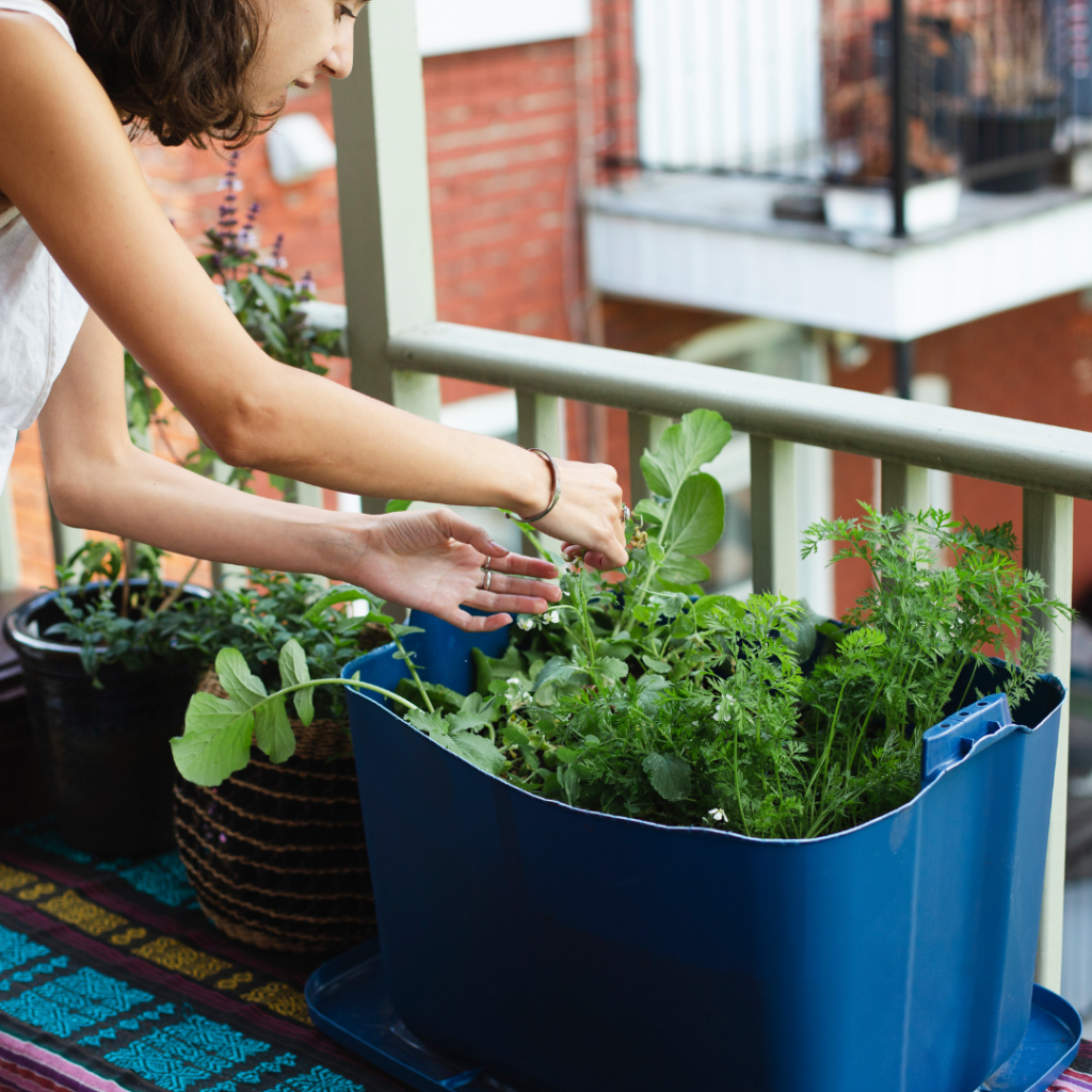 Urban Gardening-Assessing Available Space for Maximum Efficiency