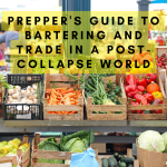 Prepper's Guide to Bartering and Trade in a Post-Collapse World
