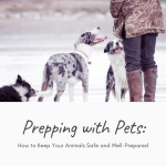 Prepping with Pets How to Keep Your Animals Safe and Well-Prepared