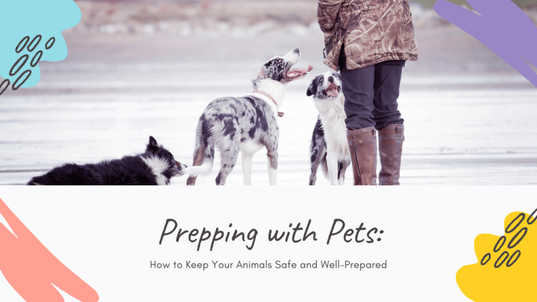Prepping with Pets How to Keep Your Animals Safe and Well-Prepared