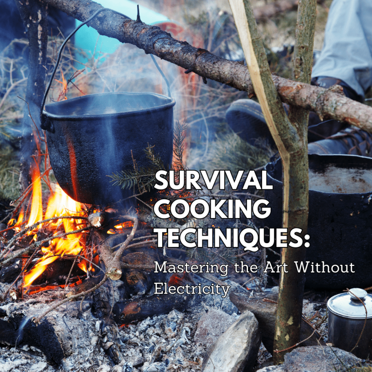 Survival Cooking Techniques Mastering the Art Without Electricity